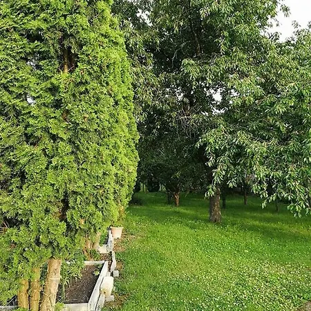 Appartement Timea Apartman